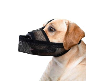   i h~ ݂h~ Hh~  h~ p}YK؂ ^ ^ ^ p}XN ^邱Ƃł܂   ߂ (L)