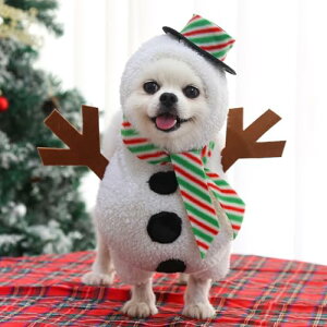 ybg  L   ̕ Ⴞ T^ nEB NX}X `bL[ t[ht ӂӂ RX`[ RXv ʔ _炩 g 킢 h   ^ ^