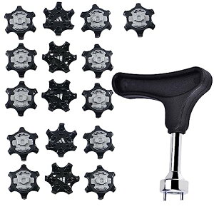 StV[Y XpCNe p St pXpCNe ~ ȒPE (ubN) 