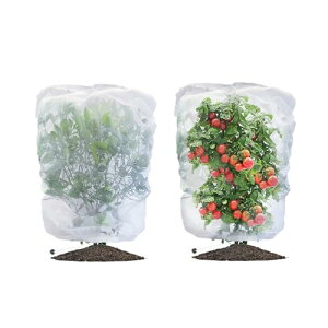 A hlbg یJo[ bVВ hlbg 悯Jo[ ؖ ΍ ʋC  Ap ؍͔| ؉v^[p (2Zbg 80x80cm)