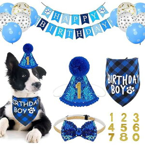 ybg aXq  o[Xf[ t 25 Lbg ybg L a t  Xq lN^C o_i D aObY a LO oi[ p[eB[ (u[)