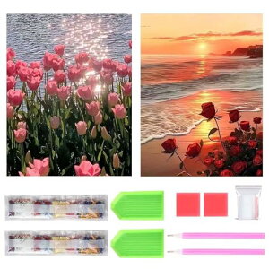 _ChA[g Lbg _Ch̊G 2Zbg ꂢ Sʓ\t _ChA[g h S l q DIY |Lbg |pi Ƃ̕ǂ̑ `[bvƃo