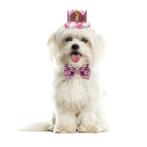 ybg a Xq 3_Zbg  Lp lN^C  t t a LO p[eB[ ybg Xq sN