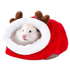 nX^[ NbVxbh ~p g nX^[nEX Q Vя xe g h ۉ ~t p Q 􂢉\ 