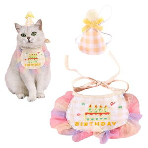 aXq  L 2_Zbg 悾^I HAPPY BIRTHDAY o[Xf[ 悾ꂩ o_i lN^C ߉\ _炩 t  Be ʐ^ av[g p[eB[ (CG[