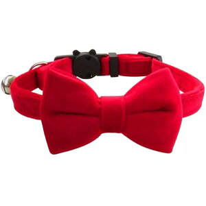 L  qL ^ ^ p ybg S ߉\ t ѕt 