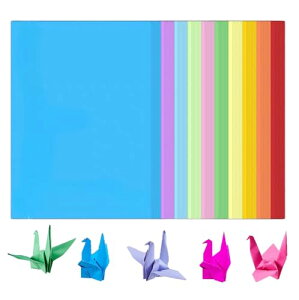 Rs[p J[Rs[ p 100 10F×10  A4 210mm×297mm /c^  CNWFbg [U[ J[y[p[ Rs[p v^p H Fp (100 10F ) 
