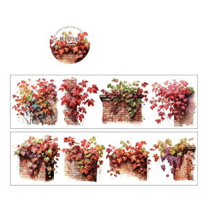 }XLOe[v   ̎q 蒠 DIY a PET e[v L DIY  }Xe V[ gt z o Ԃ̊CƂ̏o 50mm×2 m (gt)