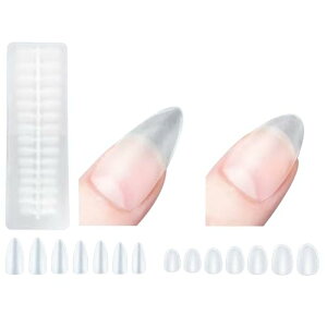 lC`bv  V[g NA TfBO RȃtBbg  o`bv tJo[ v[`bv NA`bv Kp Ɩp ( }`TCY) 