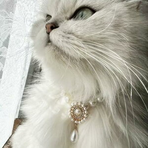 L  L̎ ybg p[J[  lH^ lbNX  tFCNp[ n[gy_g y ߉\ ybgpi a Api t@bV  S-2 