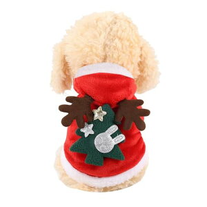 ybg NX}X ̊p Xq H~ h RXv  T^ ϐg ʐ^Be  VN ybgm (S)