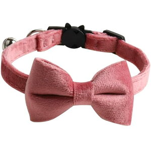 L  qL ^ ^ p ybg S ߉\ t ѕt (sN) 