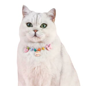 L  Lp lR   J[p[   ߉\ h~  ybg  _炩 ^ ʐ^B (qL S) 