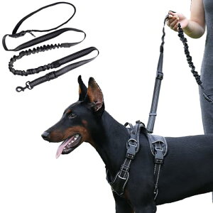   [h ^ ^p |[h S1.8m  ˑf ubN /O[ 6in1 @\ xޗ ߉\ Ɋ|\ \ P U  ݐ؂h~ EG