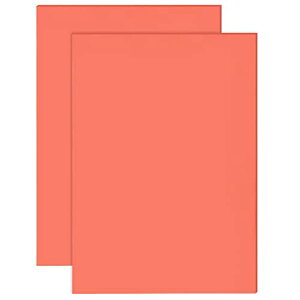 X^vV[gA4 2.5mm ȔS SX^vV[g 296X210mm [U[H\ S SubN DIYNtgX^v@p Ntg ԐF 2 