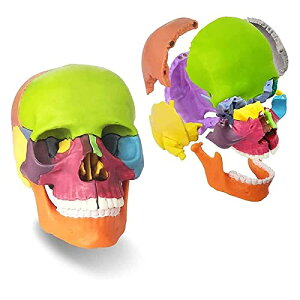 l̖͌^ W W͌^ [ ͌^ {֐ ͌^ i \{֐߂Č 15ɕ\ eʔzF Ȏ@Ȋȓ (Jt)