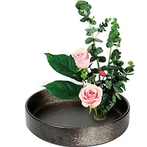 Ԋ ؓ ԗp  ԕr  } t[x[X t[AWg a  v[g  Rt ubN20CM