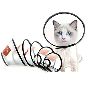 GUxXJ[ L GUxXJ[  3 ߉\ȃybgLƌpveN^[ ݕth~ Ȃ߂ qL / ^L / ^ / ^p̃\tgTChlbNR[