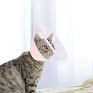 GUxXJ[ L  \tg y ɗD h rߖh~ ~h~ ی p̃PA _炩 (CgsN XS)