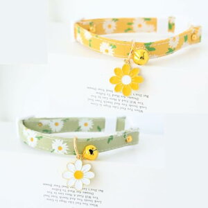 L  Lp t f[W[̉ԕ Z[teBobN  lR   ^Kp y S S \ |GXe (O[{CG[) 