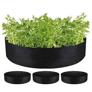 v^[ sDz |bg e sDzAؔ sDzv^[ ؍͔| K[f A琬 (50*20cm 3Zbg)