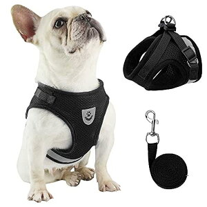 n[lX bV p  ˍޗt [h Zbg ^ ^ q L U / P / o| ybg ́[˂ S Ȃ y ߉\ ʋC