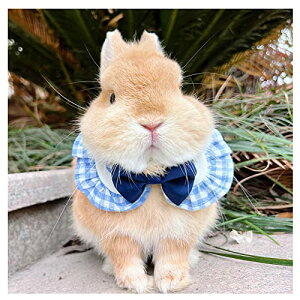   L    LlN^CETMybgo_i XJ[t t^I  L 15-28cmbglN^pi ⏬ETM ybgpi u[-S 