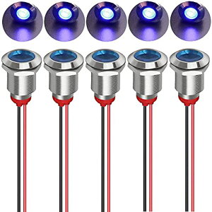 12mm AC / DC 12-24V LED ���^�� �C���W�P�[�^�[ ���C�g �h�� �M�������v �p�C���b�g �_�b�V�� ������ ���C���[�t�� (�u���[) ��������