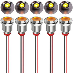 12mm AC / DC 12-24V LED �h���C���W�P�[�^���C�g �p�C���b�g���C�g�V�O�i�� �C���W�P�[�^�i�C�G���[�j ��������