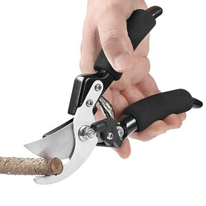 ΂ | oT~ 2iK߉\ KȃObv  ΂