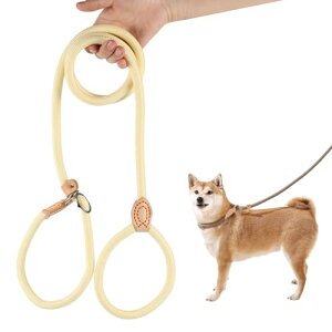  [h ^  ^ U[nh iC[v  ȒP Ȃ Xbv ^ ΂߂ lC iC (CG[) 