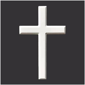 Ǌ| \ ؐ  \ CGXELXg CeA LXg NX wZ  JgbN @  (38cm)