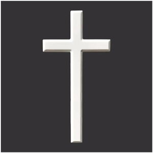 Ǌ| \ ؐ  \ CGXELXg CeA LXg NX wZ  JgbN @  (31cm)