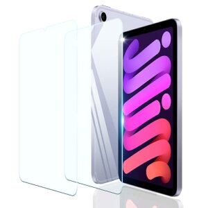 �y������2���Z�b�g�z iPad mini (A17 Pro 2024 ���f�� ��7����) / mini6 ��6���� �K���X�t�B���� iPad mini6 �t�B���� 9H�d�x �S�ʕی� iPad mini (A17 Pro) ��6���� �����K���X �ی�t�B���� �ϏՌ� �����ߗ� ��