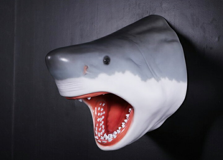 楽天市場 シャーク ヘッド ジャンボフィギュア ｈ110cm サメ 鮫 ジョーズ ホオジロザメ 顔 映画 ポリレジン スタチュー 置物 店舗 装飾 かっこいい テーマパーク 人形 大きい キャラクタードール 西海岸風 インテリア アメリカン雑貨 ラヴィアンローズ アメリカン雑貨