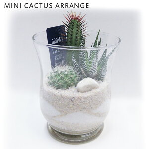 観葉植物 アメリカン Diy 工具の人気商品 通販 価格比較 価格 Com