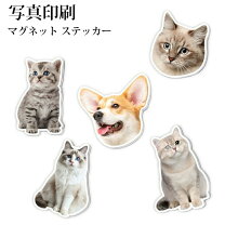 楽天市場】愛犬愛猫 ステッカーの通販