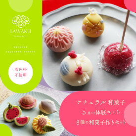 楽天市場 和菓子 手作り キットの通販