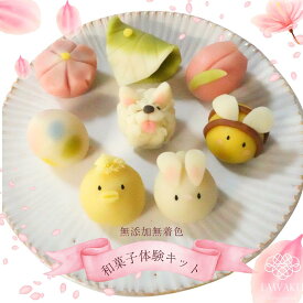 ナチュラル和菓子体験キット もふもふ春イースター ねりきり 手作り 無添加 ギフト 親子クッキング おうち時間 映えスイーツ サムエド 春練り切り