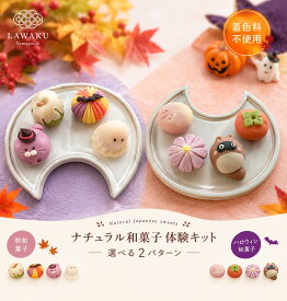 ナチュラル和菓子体験キット 秋和菓子 ハロウィン和菓子【160g】 無添加・着色料不使用 ねりきり 手作りキット 和菓子ギフト おうち時間 知育菓子 ネオ和菓子 手毬