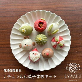 ナチュラル和菓子体験キット 冬和菓子 クリスマス ねりきり 手作り 無添加 ギフト おうち時間 子どもお菓子 映えスィーツ