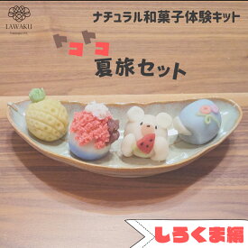 【やまぐちECエール便】ナチュラル和菓子体験キット 夏旅セット【160g】 夏休み特別版 着色料不使用 ねりきり手作りキット 無添加 自由研究 和菓子ギフト ネオ和菓子 涼菓 おうち体験 知育菓子