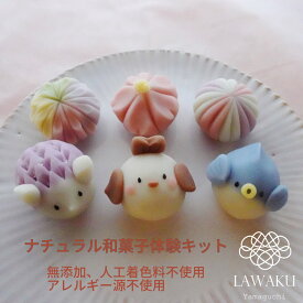 簡単 ナチュラル和菓子キット 着色料不使用 ねりきり手作りキット 無添加 和菓子ギフト ネオ和菓子 おうち体験 知育菓子 お菓子キット 手作りスイーツ 初心者向け 練り切り