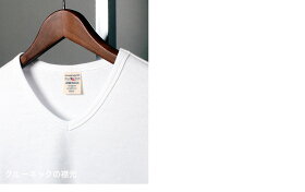 ポイント10倍★【送料無料】AVIREXアビレックスavirexアヴィレックスカットソーTシャツ615348061534816153482Vネッククルーネックヘンリーネックavirex【クーポン使用不可】【ラッキーシール対応】
