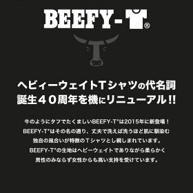 【無条件20%OFFクーポン対象】【送料無料】HANESBEEFY-Tヘインズビーフィーメンズ無地TシャツヘビーウエイトTシャツパックTTシャツ半袖Tシャツ無地H5180【ラッキーシール対応】
