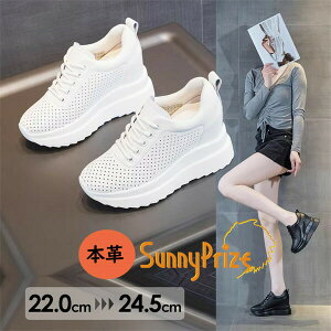 �{�v ����X�j�[�J�[ ���f�B�[�X 9cm �C���q�[�� �y�� �����₷�� ���r���� �X�^�C���A�b�v �J�W���A�� �V���[�Y �ʋ� �ʊw �t�H�p �������͗l�f�U�C�� �ʋC�����Q �� �� 22.0�`24.5cm z7z7