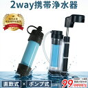 携帯浄水器 災害用 浄水器 防災 登山 キャンプ グッズ 8,000L 高性能ろ過 軽量70g コンパクト 収納ポーチ付属【国内水…