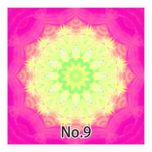 GREEN MANTA@O[}^@I[_[nSilmage@HOOPn100×100cmDȃJ[DȕnɃvgI[_[ChAIWinA~VLgAnCALgAz[