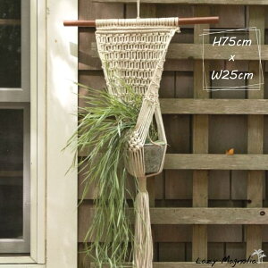 y X[p[Z[ Ώۏi z y Amina z }N nMO ϗtA z_[ wI