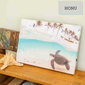 y Kahiko JqR z A[g{[h nCA LED ԐڏƖ m